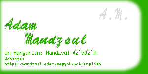 adam mandzsul business card